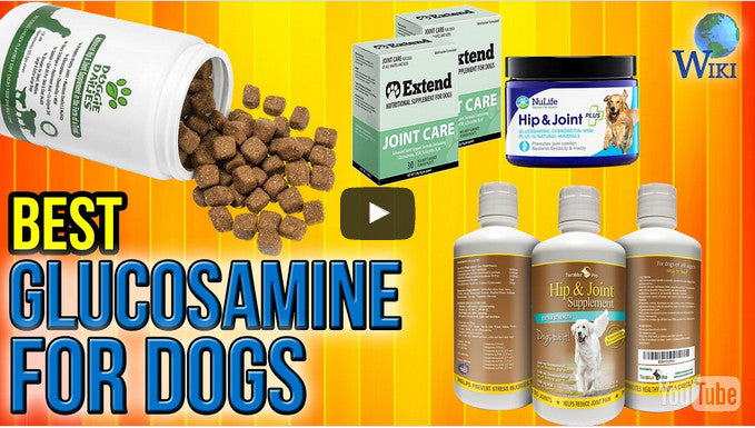NuLife Natural Pet Health - Listed in the Top Nine Best Glucosamine For Dogs of 2017 by Ezvid Wiki