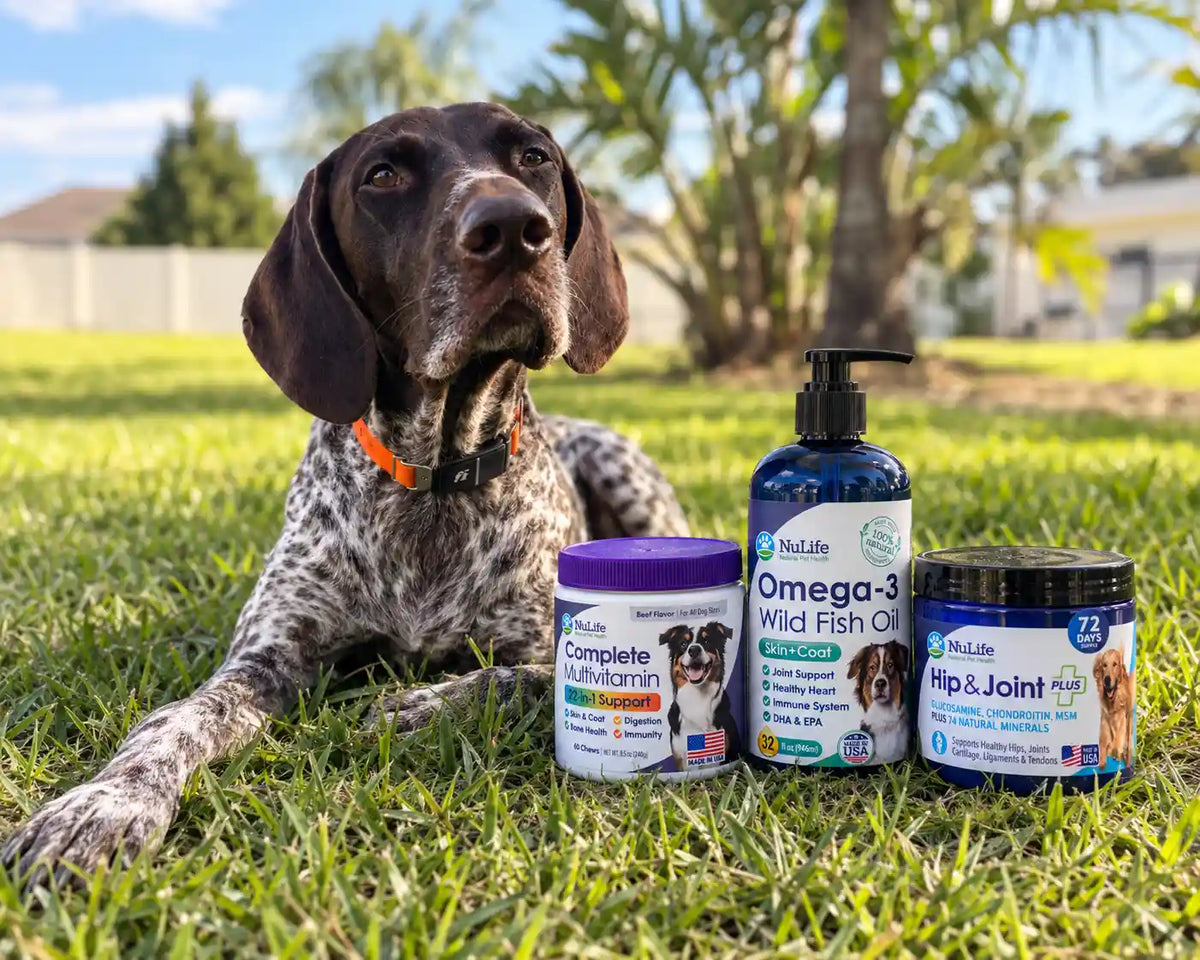A spotted dog lies on green grass outdoors next to three pet supplement containers: a purple-lidded Complete Multivitamin jar, a blue pump bottle of Omega-3 Wild Fish Oil, and a dark-lidded Hip & Joint Support jar. The dog looks toward the camera, with trees and a house blurred in the background.