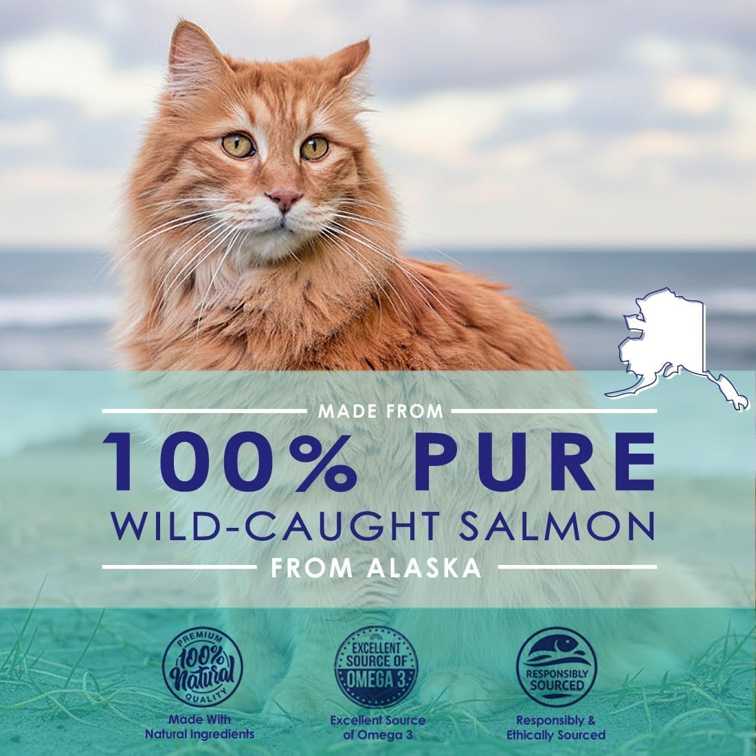 Cat on a label claiming 100% pure wild-caught salmon from Alaska with branding icons.