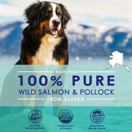 Wild caught salmon oil for dogs with EPA and DHA