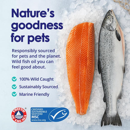 Wild salmon oil for dogs bottle with pump