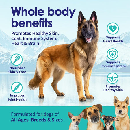 Dog wild Alaskan salmon oil liquid fish oil supplement