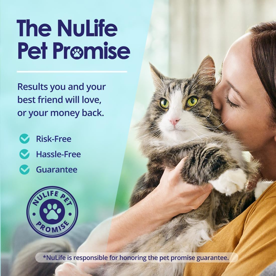 Before and After Cat Coat Condition with Daily Salmon Oil for Cats