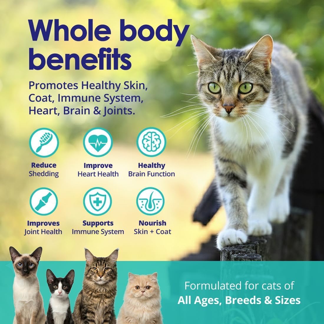 Cat standing outdoors with text about whole body benefits and icons, with four smaller cats at the bottom.