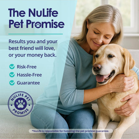 Dog salmon oil liquid omega 3 supplement