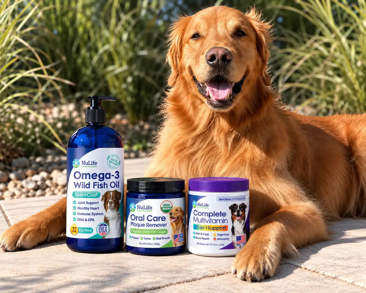 A golden retriever dog lies on a stone patio outdoors with three Nulife pet supplement products in front of it: a blue bottle of Omega-3 Wild Fish Oil, an Oral Care Tooth Cleaner jar, and a Complete Multivitamin jar.