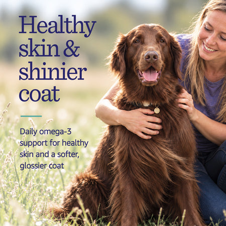 Woman embracing beautiful dog in field