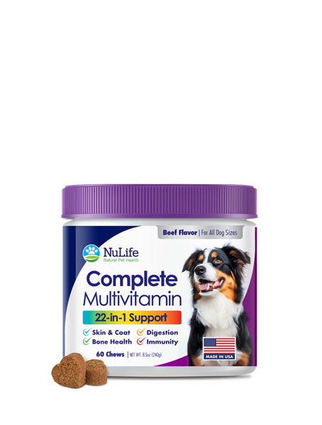 22-in-1 Dog Multivitamin Supplement - Beef Flavour - 60 Chews