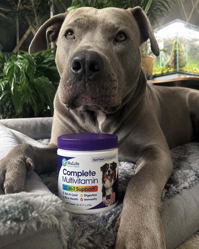 NuLife 22-in-1 Multivitamin Chews for dogs customer photo