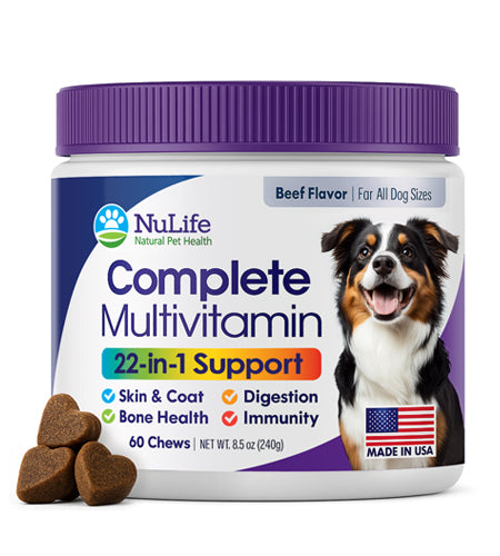 22-in-1 Dog Multivitamin Supplement - Beef Flavour - 60 Chews - NuLife Natural Pet Health