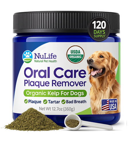 Dental Powder for Dogs USDA Organic Sea Kelp 12oz - NuLife Natural Pet Health