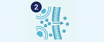 Illustration of a process with blue circles and lines on a light blue background