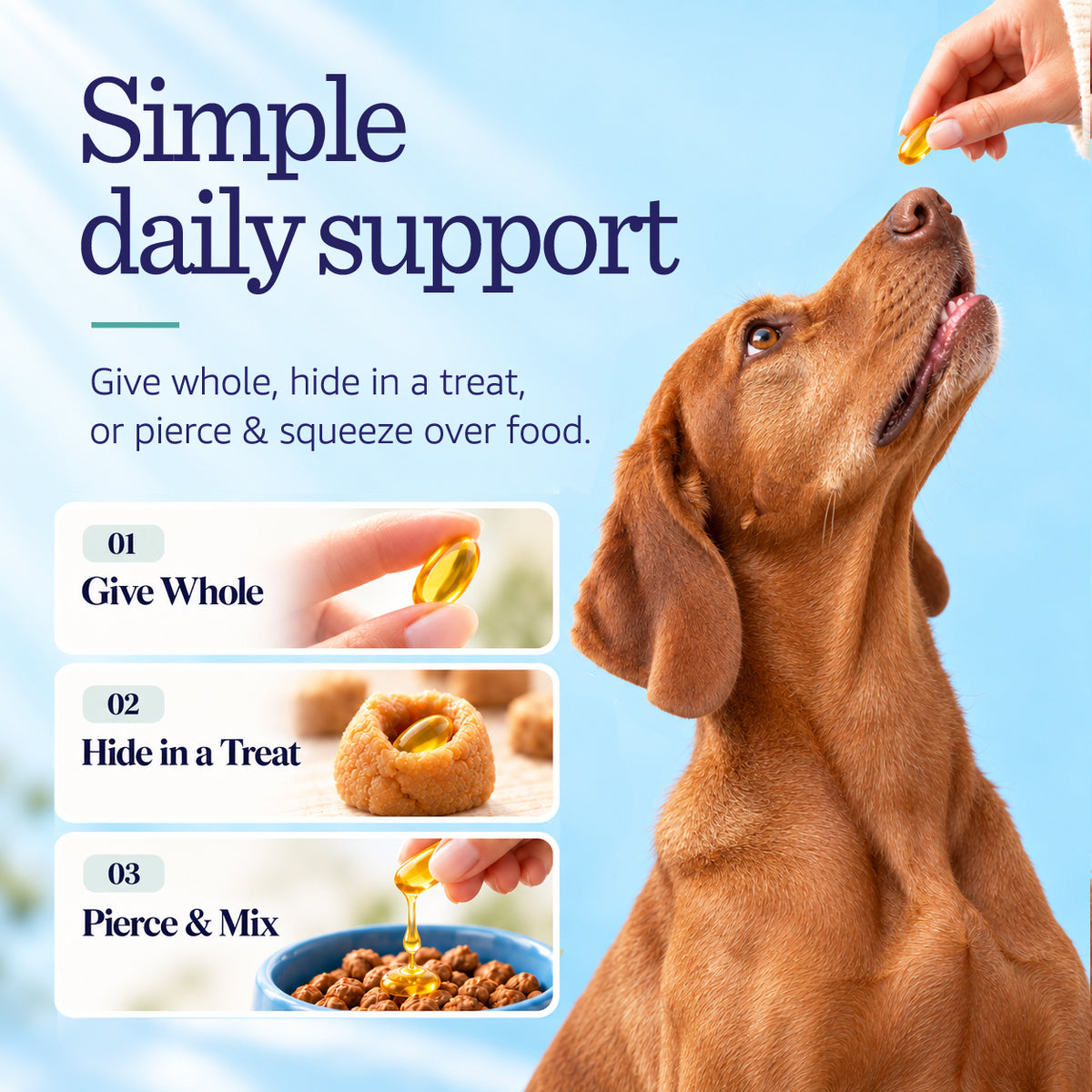 Omega 3 capsules for dogs simple daily support