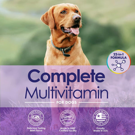 22-in-1 Dog Multivitamin Supplement - Beef Flavour - 60 Chews - NuLife Natural Pet Health