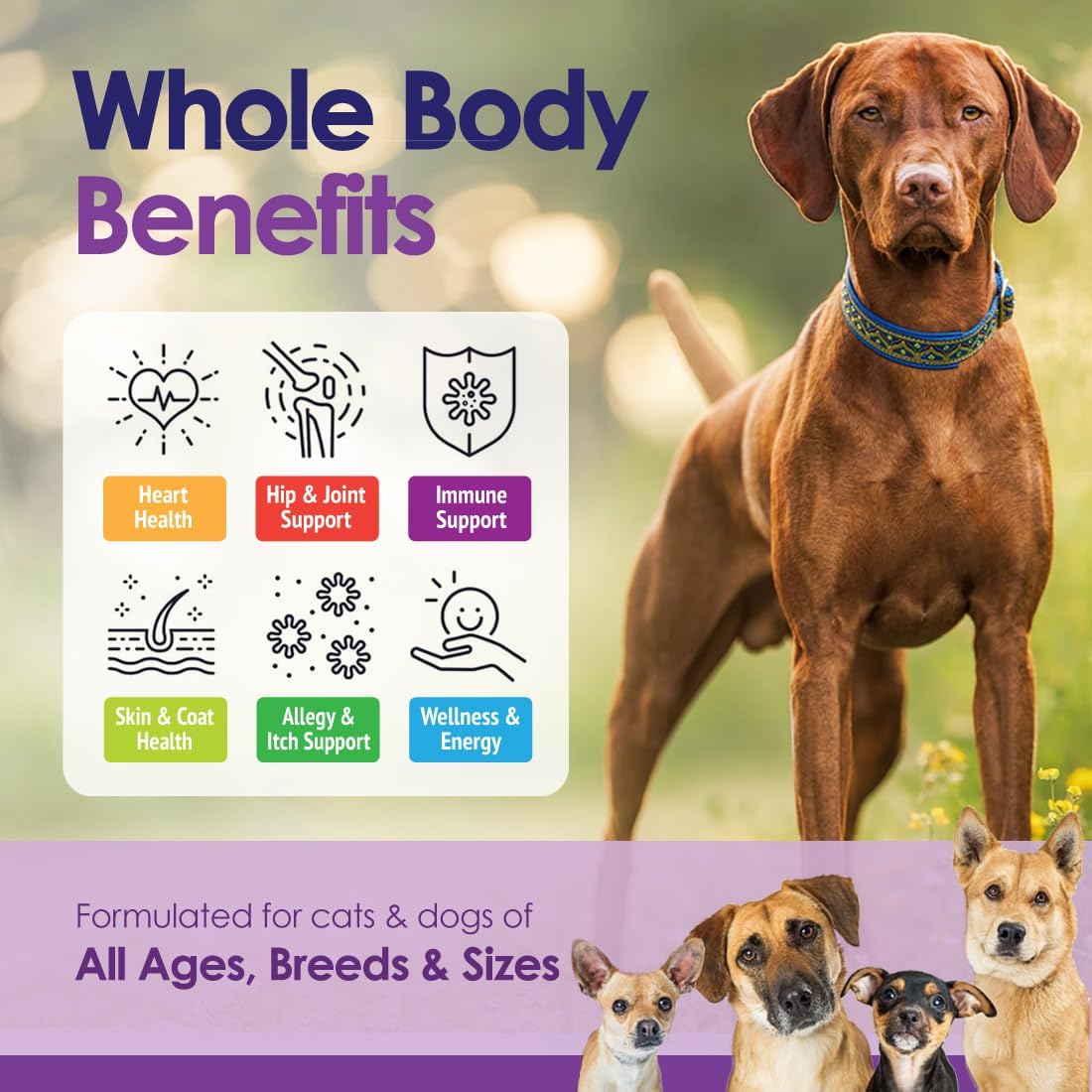 22-in-1 Dog Multivitamin Supplement - Beef Flavour - 60 Chews - NuLife Natural Pet Health
