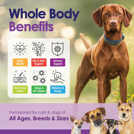 22-in-1 Dog Multivitamin Supplement - Beef Flavour - 60 Chews - NuLife Natural Pet Health