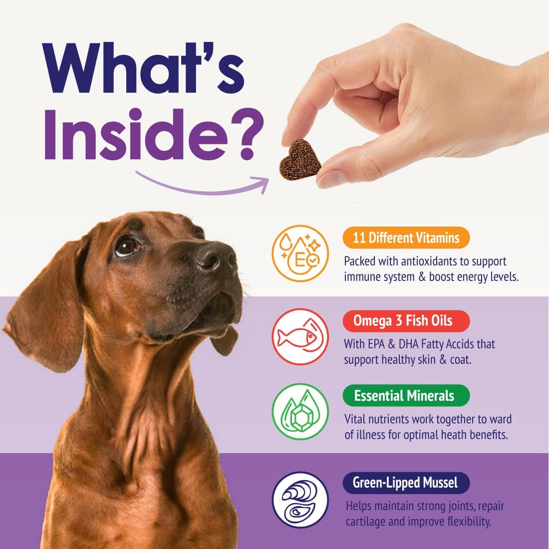 22-in-1 Dog Multivitamin Supplement - Beef Flavour - 60 Chews - NuLife Natural Pet Health