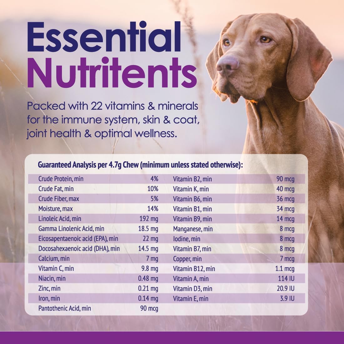 22-in-1 Dog Multivitamin Supplement - Beef Flavour - 60 Chews - NuLife Natural Pet Health