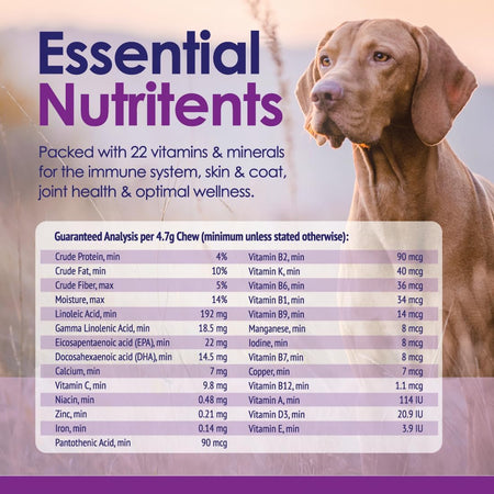 22-in-1 Dog Multivitamin Supplement - Beef Flavour - 60 Chews - NuLife Natural Pet Health