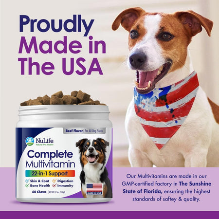 22-in-1 Dog Multivitamin Supplement - Beef Flavour - 60 Chews - NuLife Natural Pet Health