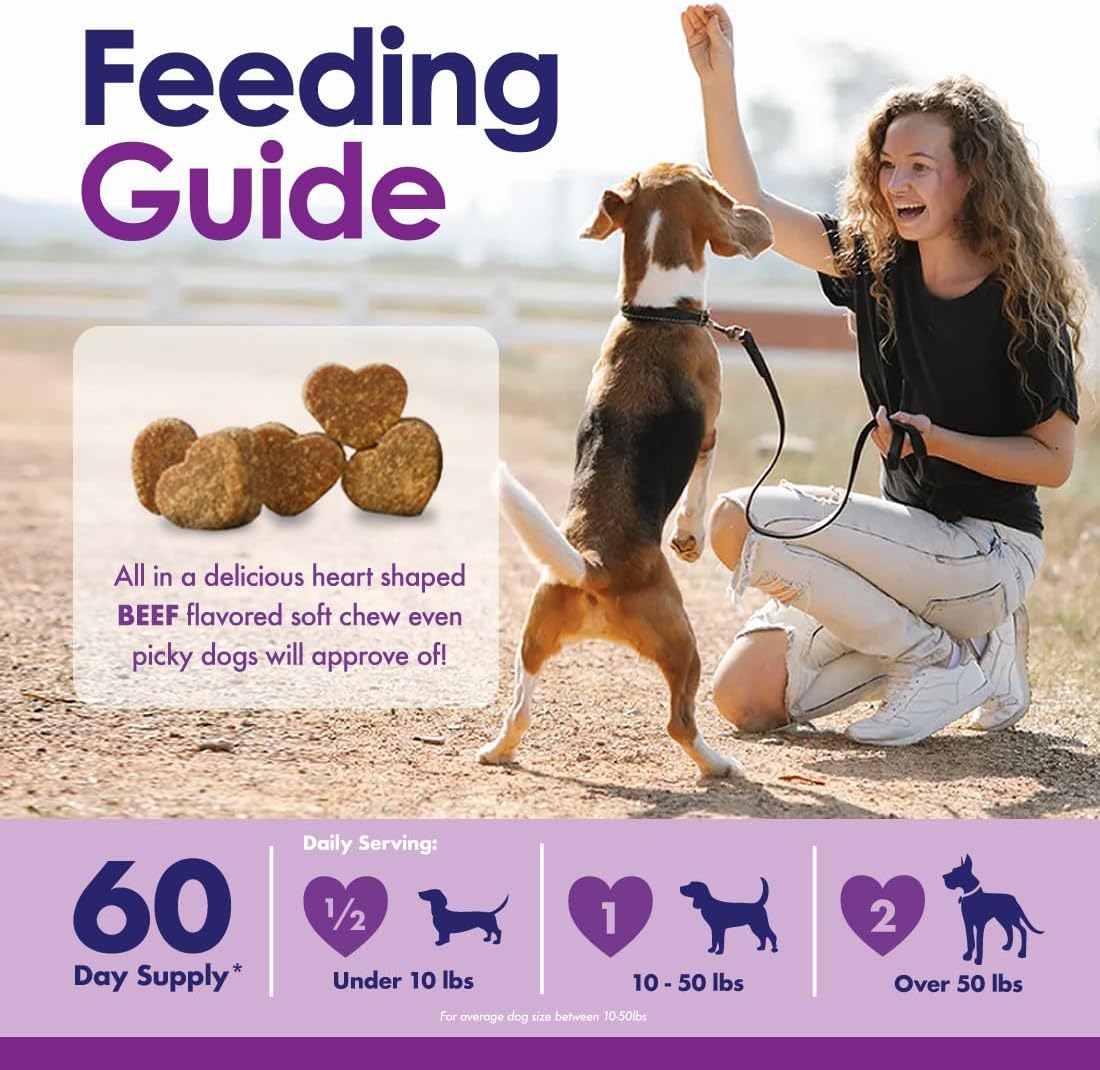22-in-1 Dog Multivitamin Supplement - Beef Flavour - 60 Chews - NuLife Natural Pet Health