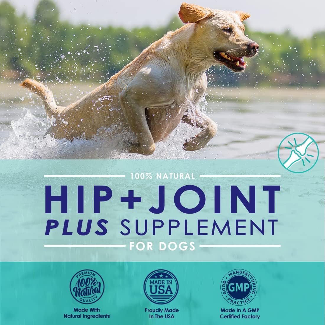 Advanced Hip and Joint Supplement For Dogs - Joint Relief Powder - 6oz - NuLife Natural Pet Health