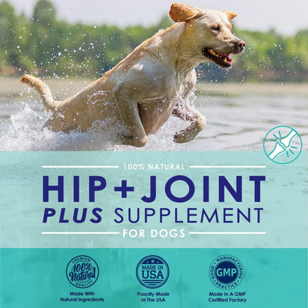 Advanced Hip and Joint Supplement For Dogs - Joint Relief Powder - 6oz - NuLife Natural Pet Health