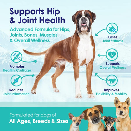 Advanced Hip and Joint Supplement For Dogs - Joint Relief Powder - 6oz - NuLife Natural Pet Health