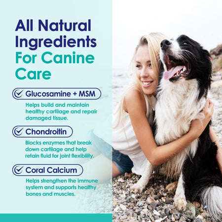 Advanced Hip and Joint Supplement For Dogs - Joint Relief Powder - 6oz - NuLife Natural Pet Health