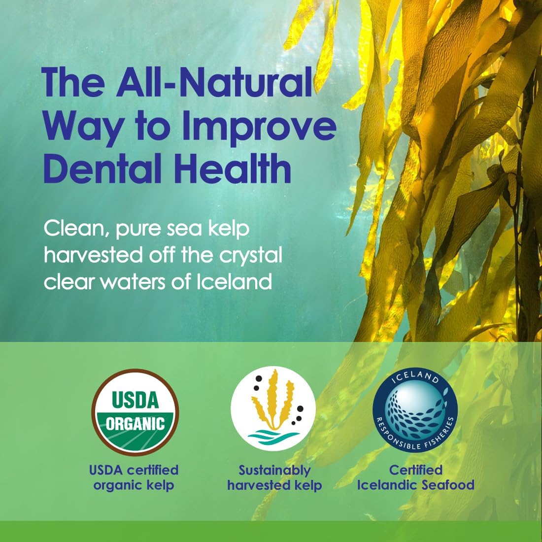 Dog Teeth Cleaning Powder, USDA Organic Sea Kelp - 12oz - NuLife Natural Pet Health