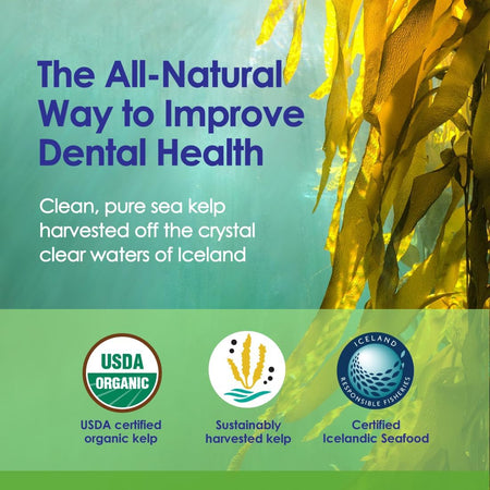 Dog Teeth Cleaning Powder, USDA Organic Sea Kelp - 12oz - NuLife Natural Pet Health