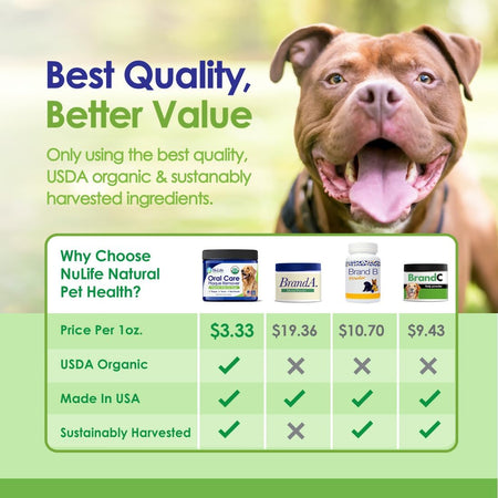 Dog Teeth Cleaning Powder, USDA Organic Sea Kelp - 6oz - NuLife Natural Pet Health
