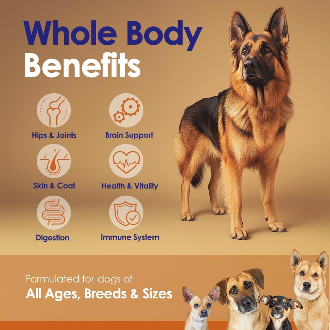 Grass-Fed Beef Bone Broth Powder for Dogs  With Mushrooms - 4.2oz - NuLife Natural Pet Health