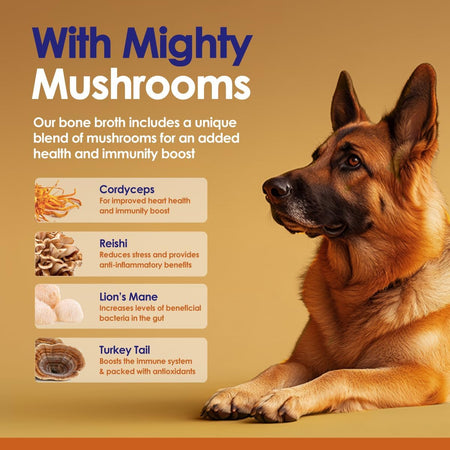 Grass-Fed Beef Bone Broth Powder for Dogs  With Mushrooms - 4.2oz - NuLife Natural Pet Health