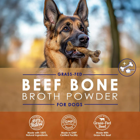 Grass-Fed Beef Bone Broth Powder for Dogs  With Mushrooms - 4.2oz - NuLife Natural Pet Health