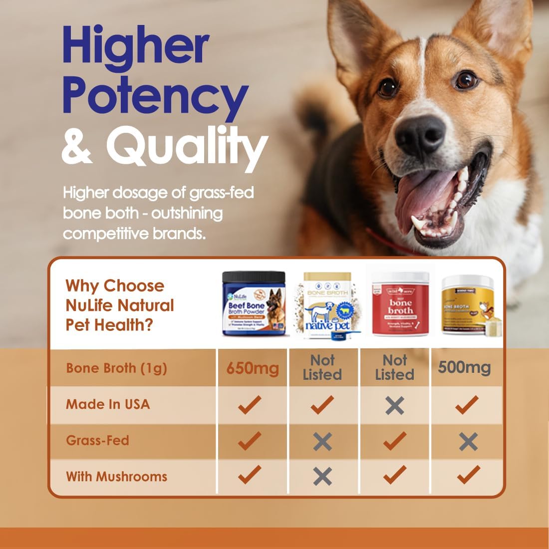 Grass-Fed Beef Bone Broth Powder for Dogs  With Mushrooms - 4.2oz - NuLife Natural Pet Health
