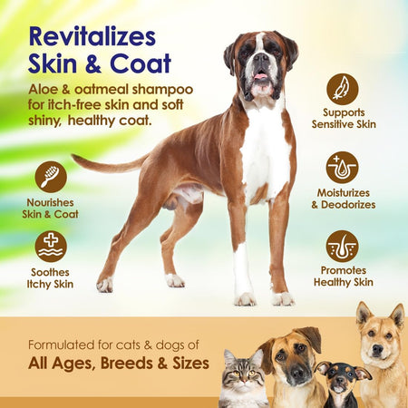 Oatmeal And Aloe Shampoo For Dogs - Pina Colada - 16oz - NuLife Natural Pet Health
