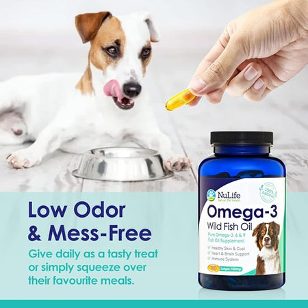 Omega 3 Fish Oil For Dogs - Skin & Coat Supplement - 180 Caps (1000mg) - NuLife Natural Pet Health