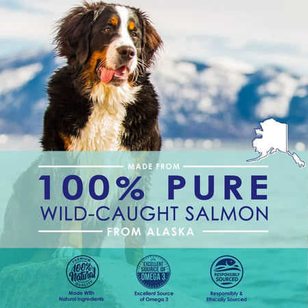 Wild Alaskan Fish Oil for Dogs Liquid - Pure Salmon Oil For Dogs - 32 oz - NuLife Natural Pet Health