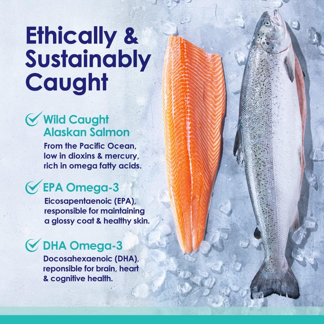 Fatty Acids Is It Safe For Dogs To Eat Salmon Wild Alaskan Fish