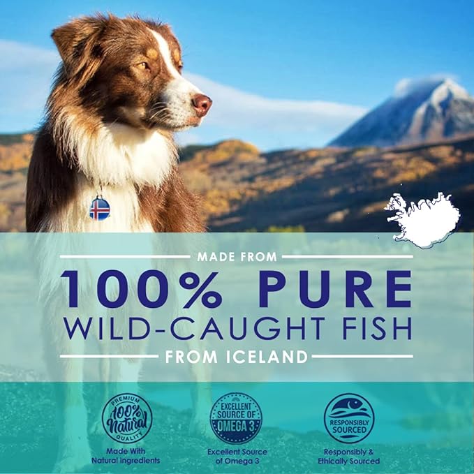 Wild Omega 3 Fish Oil for Dogs Liquid - 16oz - NuLife Natural Pet Health