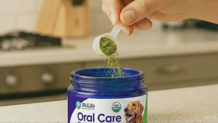 nulife-dog-dental-powder-12oz-demo.mp4