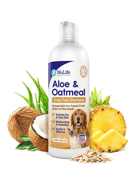 oatmeal and aloe shampoo for dogs 16oz