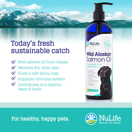 pure salmon oil for dogs