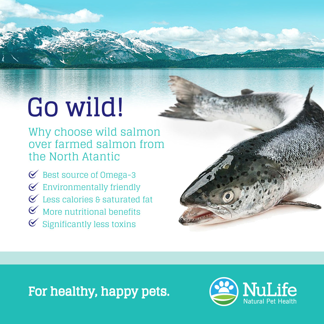 pure wild salmon oil for dogs