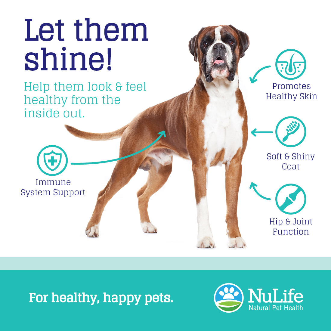 Salmon Oil Omega 3 Soft Chews, 60 cnt - NuLife Natural Pet Health