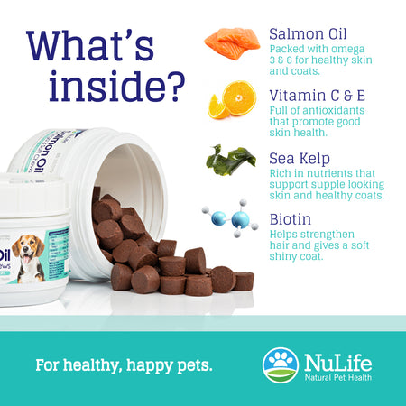 Salmon Oil Omega 3 Soft Chews, 60 cnt - NuLife Natural Pet Health