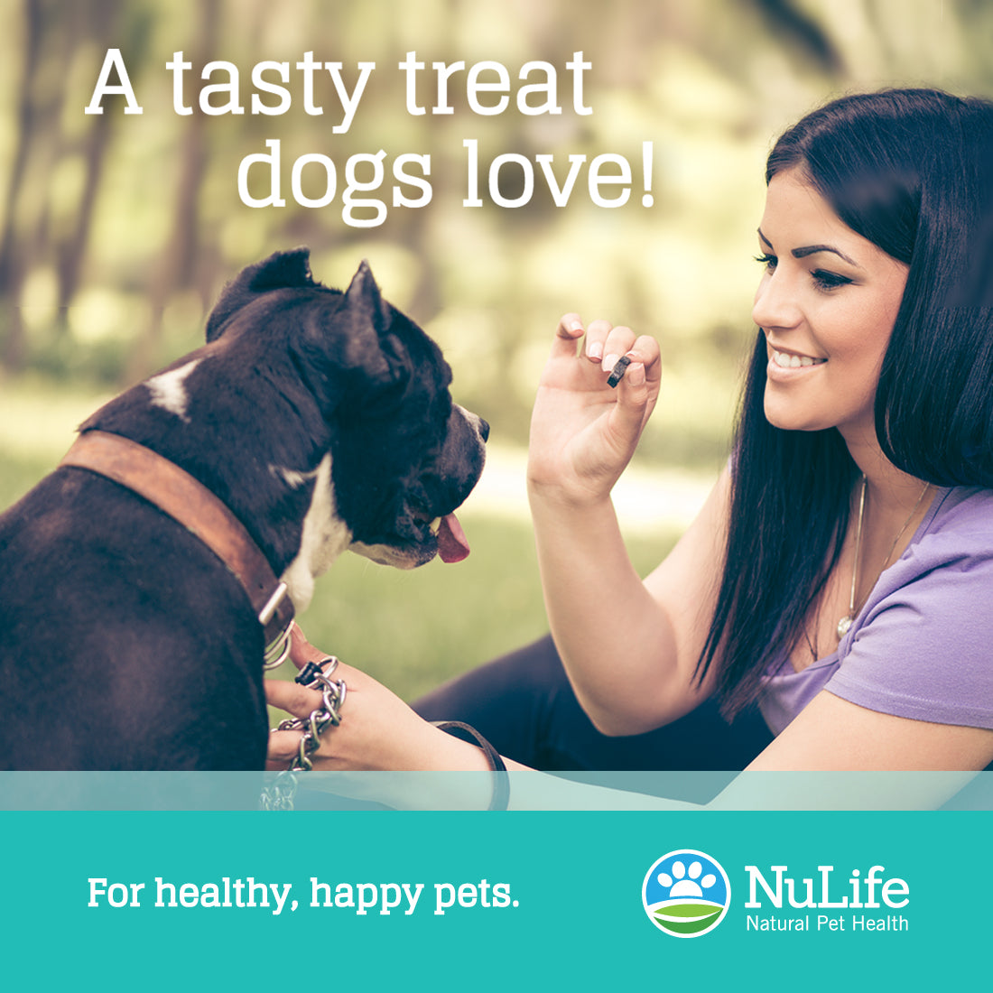 Salmon Oil Omega 3 Soft Chews, 60 cnt - NuLife Natural Pet Health