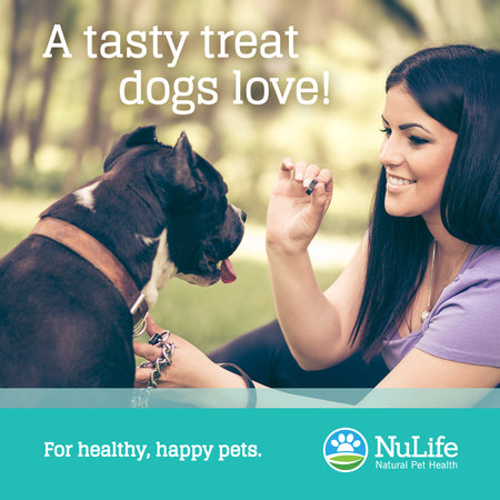 Salmon Oil Omega 3 Soft Chews, 60 cnt - NuLife Natural Pet Health